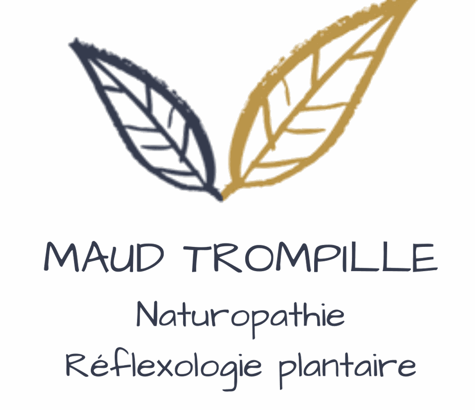 Odoo- Echantillon n° 3 pour trois colonnes