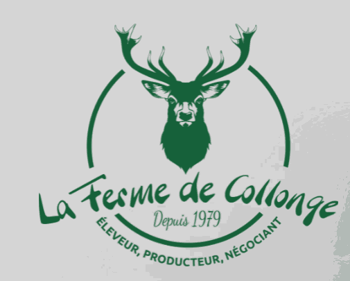 Odoo - Echantillon n°1 pour trois colonnes