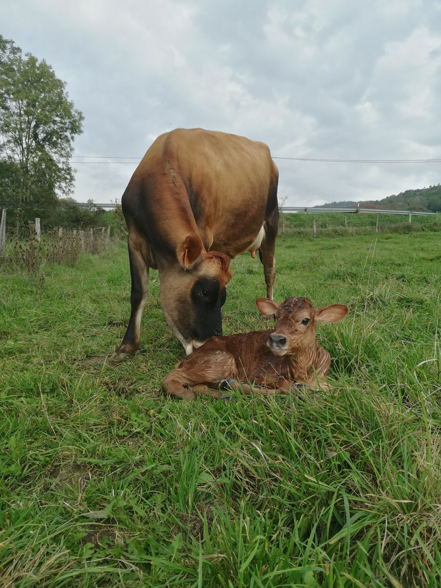 Odoo - Echantillon n°1 pour trois colonnes 